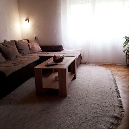 Potkrovlje Vrsac Luaran gambar